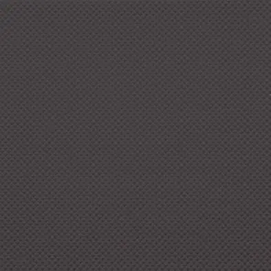 Gecertificeerd Color Two (RAL 0004000) - dlaždice 20x20 šedá matná, R10 B (GRS1K248)