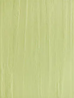Speciale Akce Remix - obkládačka 25x33 zelená (WARKB018)