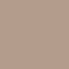 Color One (RAL 0607020) - obkládačka 15x15 tmavě béžová matná (WAA19311) Novinka