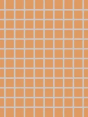 Odeslání Ihned Color Two (RAL 0607050) - dlaždice mozaika 2,5x2,5 světle oranžová matná (GDM02150)