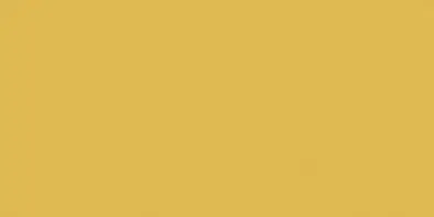 Nejprodávanější Color Two (RAL 0858070) - dlaždice 10x20 tmavě žlutá matná (GAAD8142)