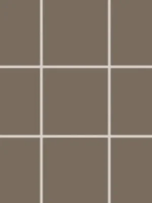 Exclusieve Akce Color Two (RAL 0805010) - dlaždice mozaika 10x10 šedobéžová matná (GAA0K313)