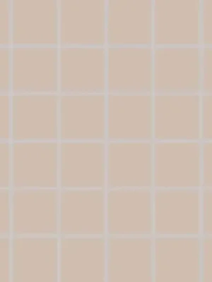 Color Two (RAL 0508010) - dlaždice mozaika 5x5 béžová matná (GDM05108) Nejnovější Verze