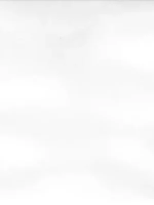 Nejlepší Cena System - obkládačka 30x60 bílá lesklá, tl. 8 mm (WARVK000)