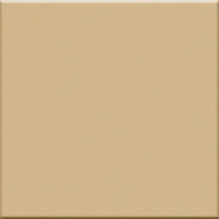 Laatste Versie IN Beige RAL 1001 - dlaždice 20x20 béžová matná (0011225)