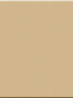 Beste Prijs IN Beige RAL 1001 - dlaždice 5x40 béžová matná (1154P25)