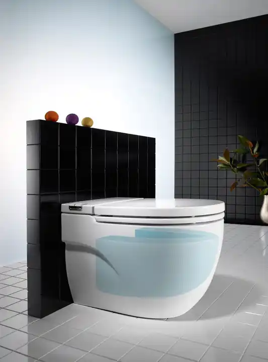 In-Tank Meridian - stojící WC, integrovaná nádržka na vodu (A893303000) Levný