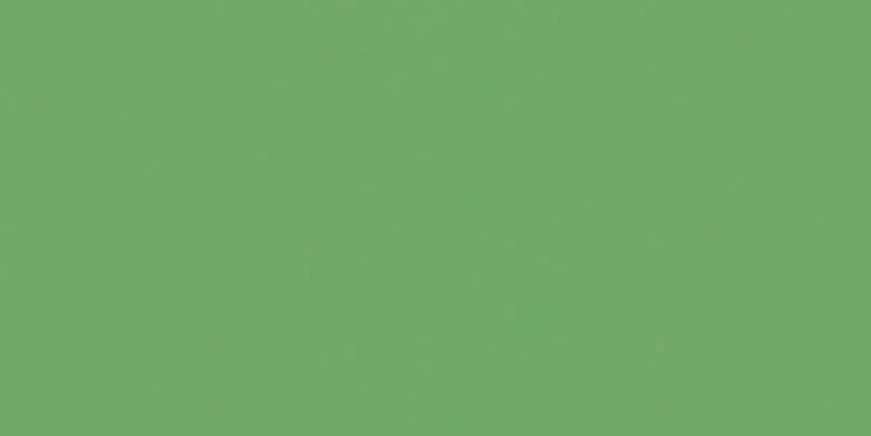 Color One (RAL 1306050) - obkládačka 20x40 zelená matná (WAAMB466) Poslední Šance