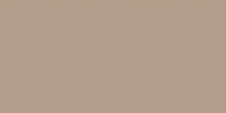 Nejprodávanější Color One (RAL 0607020) - obkládačka 20x40 tmavě béžová lesklá (WAAMB301)