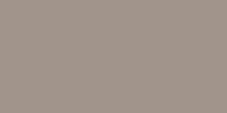 Color One (RAL 0607010) - obkládačka 20x40 béžovošedá lesklá (WAAMB302) Blesková Nabídka
