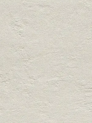Alleen Vandaag Industrio light grey - dlaždice rektifikovaná 59,8x119,8 šedá, matná (6003592)