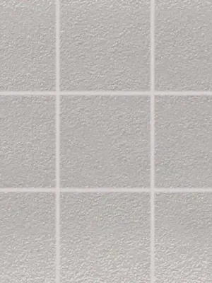 Expresní Doručení Color Two (RAL 0607005) - dlaždice mozaika 10x10 šedá matná, R10 B (GAF0K610)