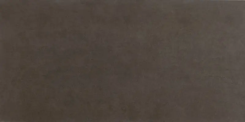Bloom Brown - obkládačka rektifikovaná 80x160 hnědá (fRGP) Goedkoop