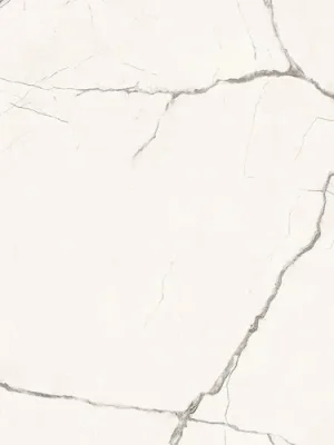 The Room Statuario Vena Piccola - dlažba rektifikovaná 60x120 bílá lesklá (STA VP6 12 LP) Veilige Betaling